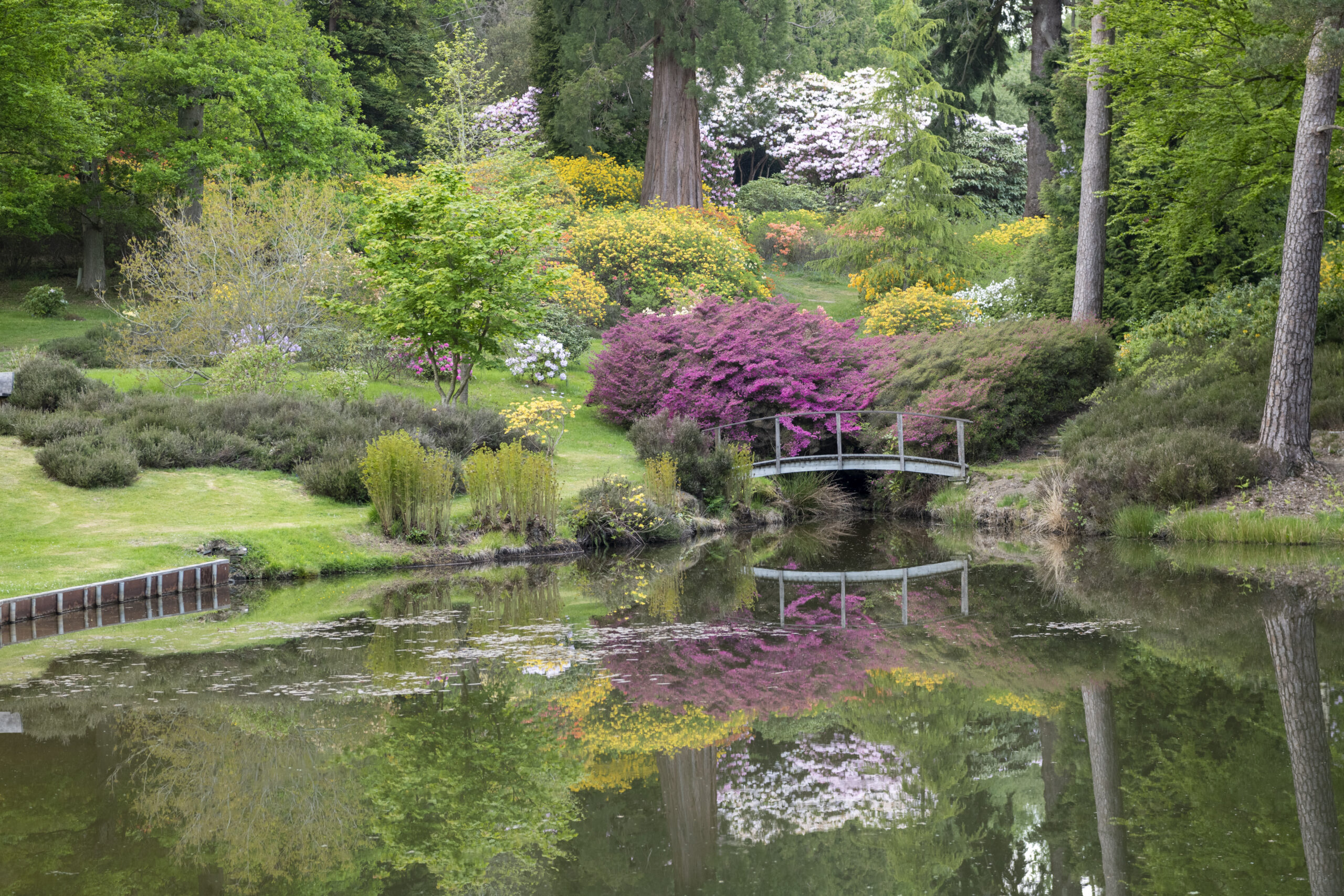 Wedding Venue in West Sussex - The Hyde Estate Wild Garden Handcross